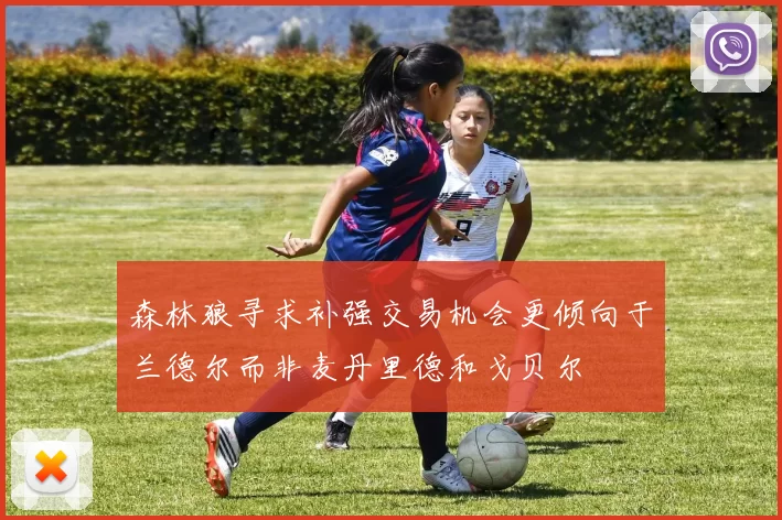 森林狼寻求补强交易机会更倾向于兰德尔而非麦丹里德和戈贝尔